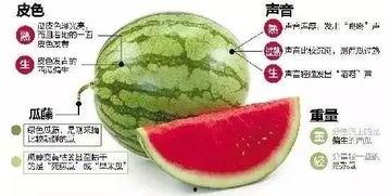 昭通网红吃瓜群微信,揭秘网络社交圈的趣味与争议