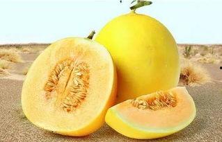 166.su吃瓜网入口,揭秘娱乐圈最新热点，带你畅游八卦海洋