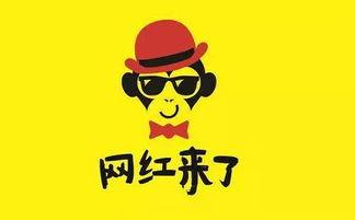 吃瓜韩姓网红,吃瓜界的风云人物