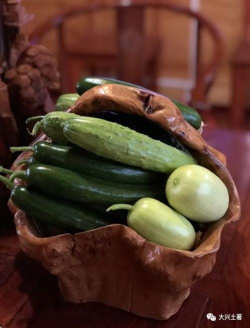 网红吃瓜视频2023,盘点年度热门事件与幕后真相