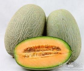 网红大鹅吃哈密瓜视频,美味诱惑引发网友热议