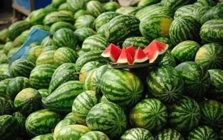 福山网红吃瓜事件真相揭秘,揭秘背后真相与争议